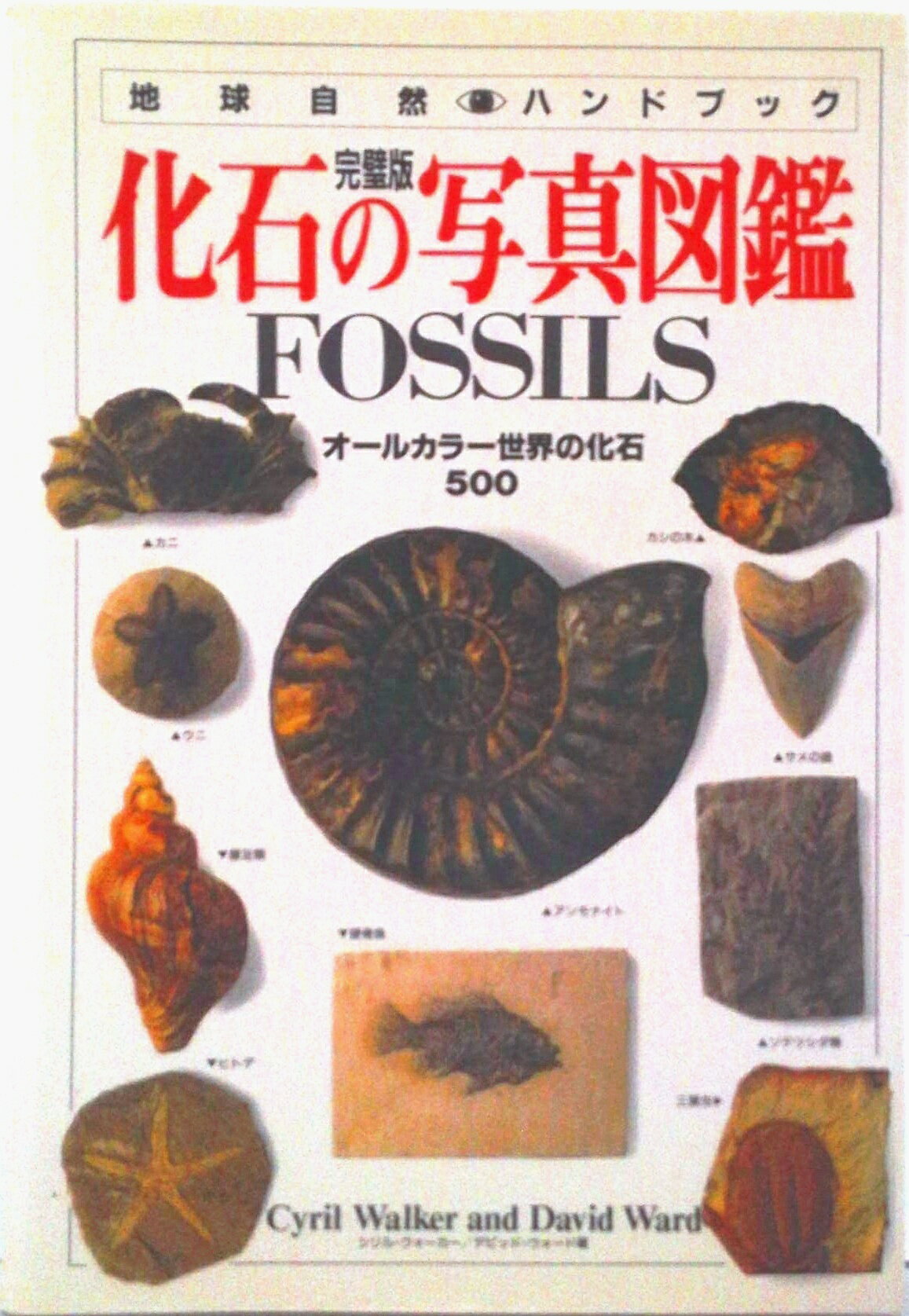 【中古】化石の写真図鑑 オ-ルカラ-世界の化石500/日本ヴォ-グ社/シリル・ウォ-カ-（単行本）