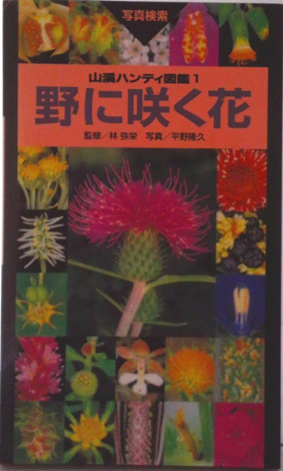 【中古】野に咲く花/山と渓谷社/平野隆久（単行本）
