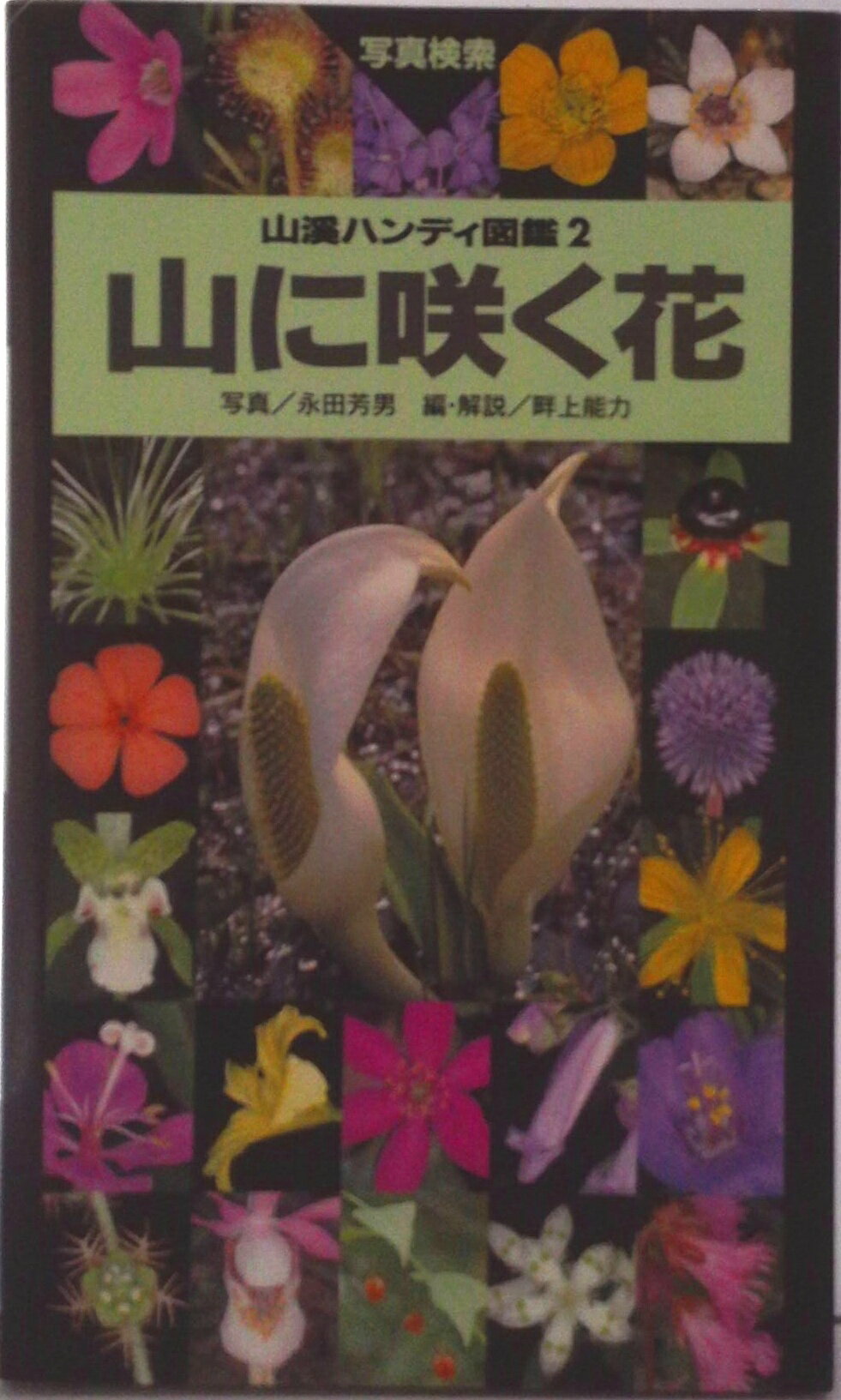 【中古】山に咲く花 4版/山と渓谷社/永田芳男（単行本）