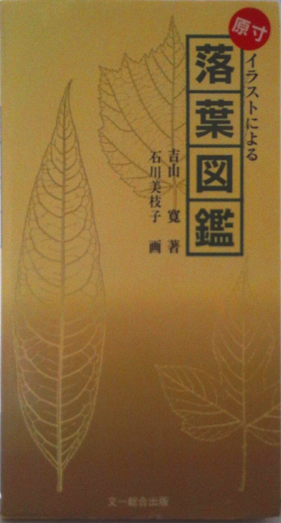【中古】落葉図鑑 原寸イラストによる 第3版/文一総合出版/吉山寛（単行本）