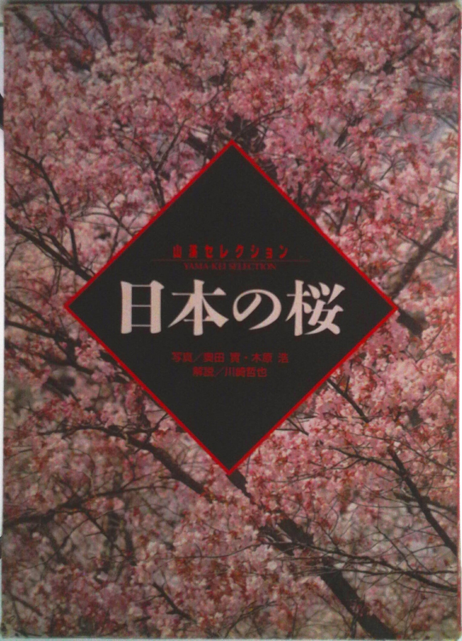 【中古】日本の桜/山と渓谷社/奥田実（単行本）