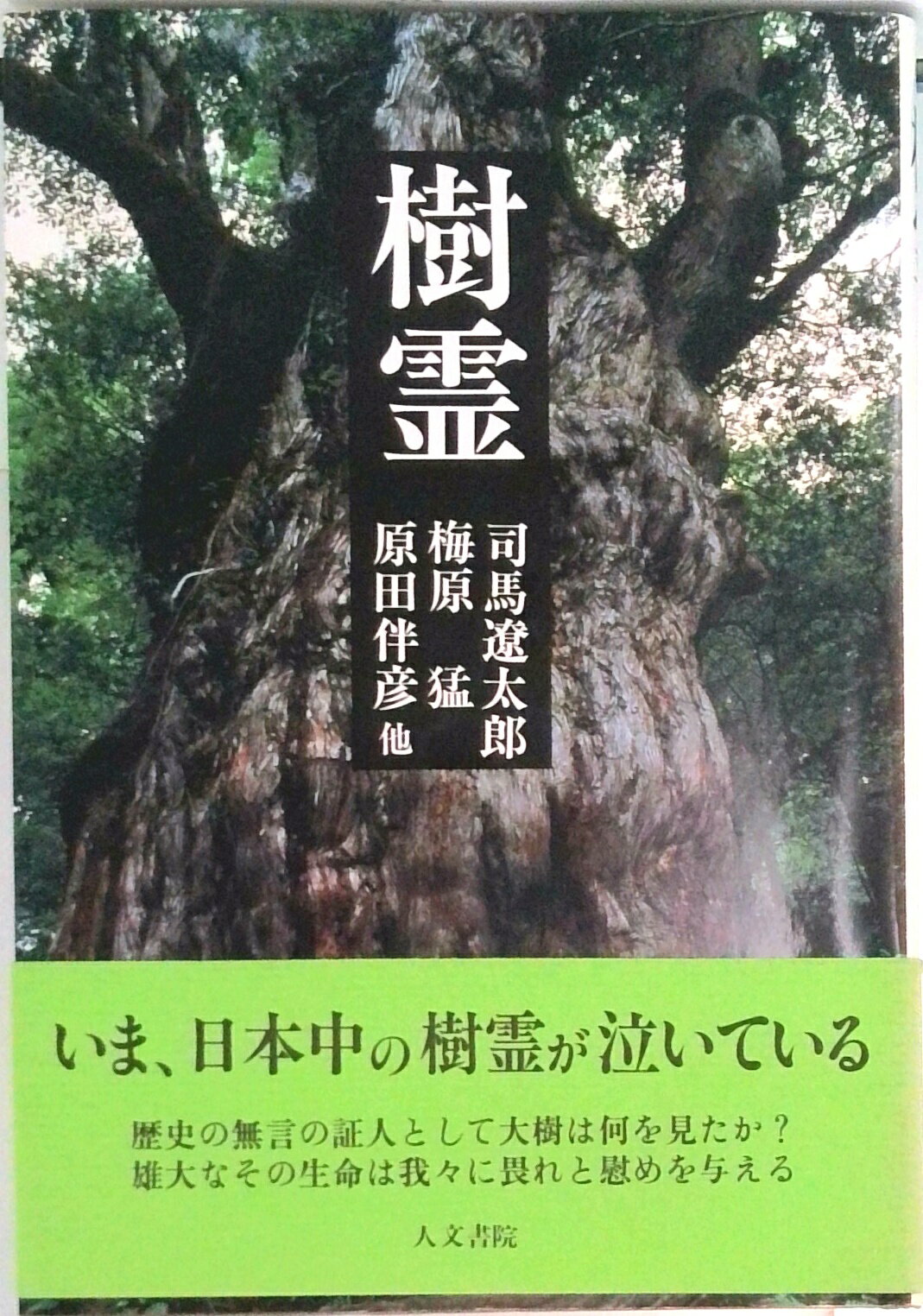 ◆◆◆非常にきれいな状態です。中古商品のため使用感等ある場合がございますが、品質には十分注意して発送いたします。 【毎日発送】 商品状態 著者名 司馬遼太郎 出版社名 人文書院 発売日 1980年05月 ISBN 9784409160237
