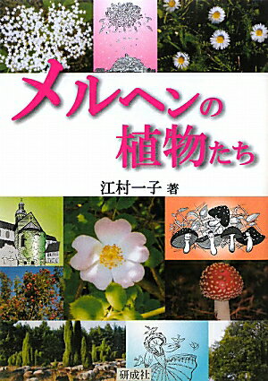【中古】メルヘンの植物たち/研成社/江村一子（単行本）
