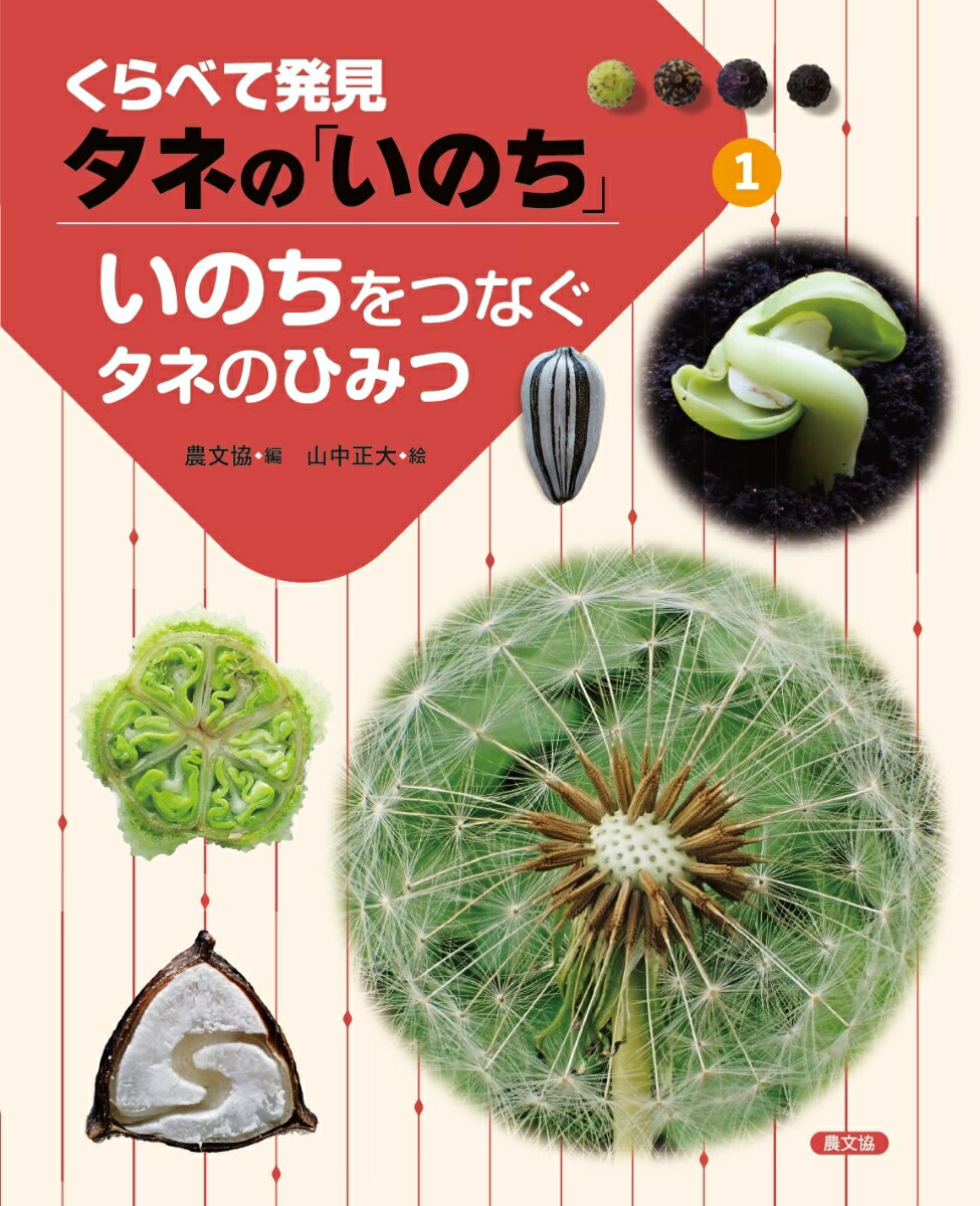 【中古】いのちをつなぐタネのひみつ/農山漁村文化協会/農文協（ムック）