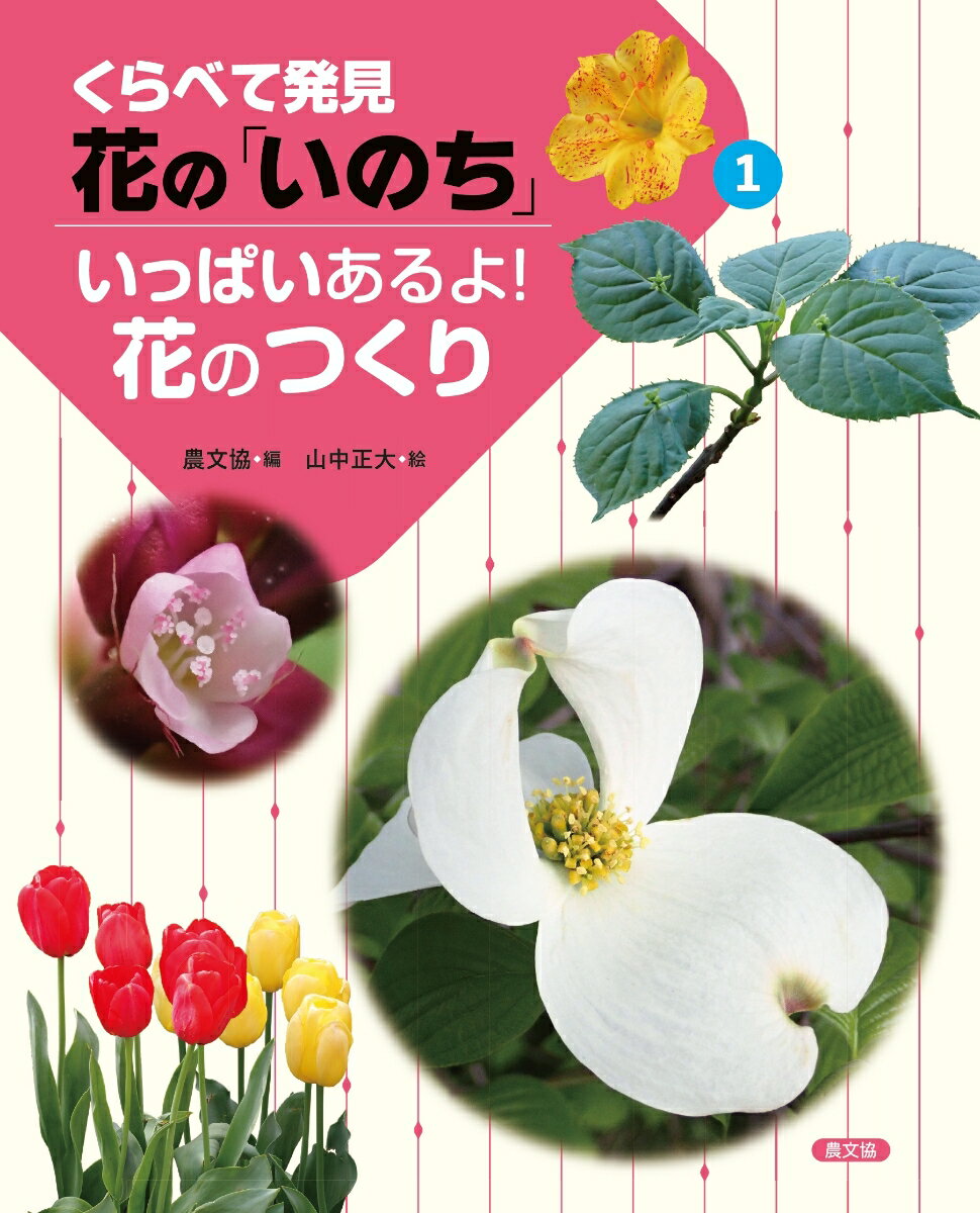 ◆◆◆非常にきれいな状態です。中古商品のため使用感等ある場合がございますが、品質には十分注意して発送いたします。 【毎日発送】 商品状態 著者名 農文協、山中正大 出版社名 農山漁村文化協会 発売日 2024年12月15日 ISBN 9784540241635