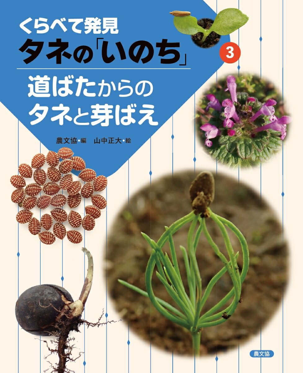 【中古】道ばたからのタネと芽ばえ/農山漁村文化協会/農文協（ムック）