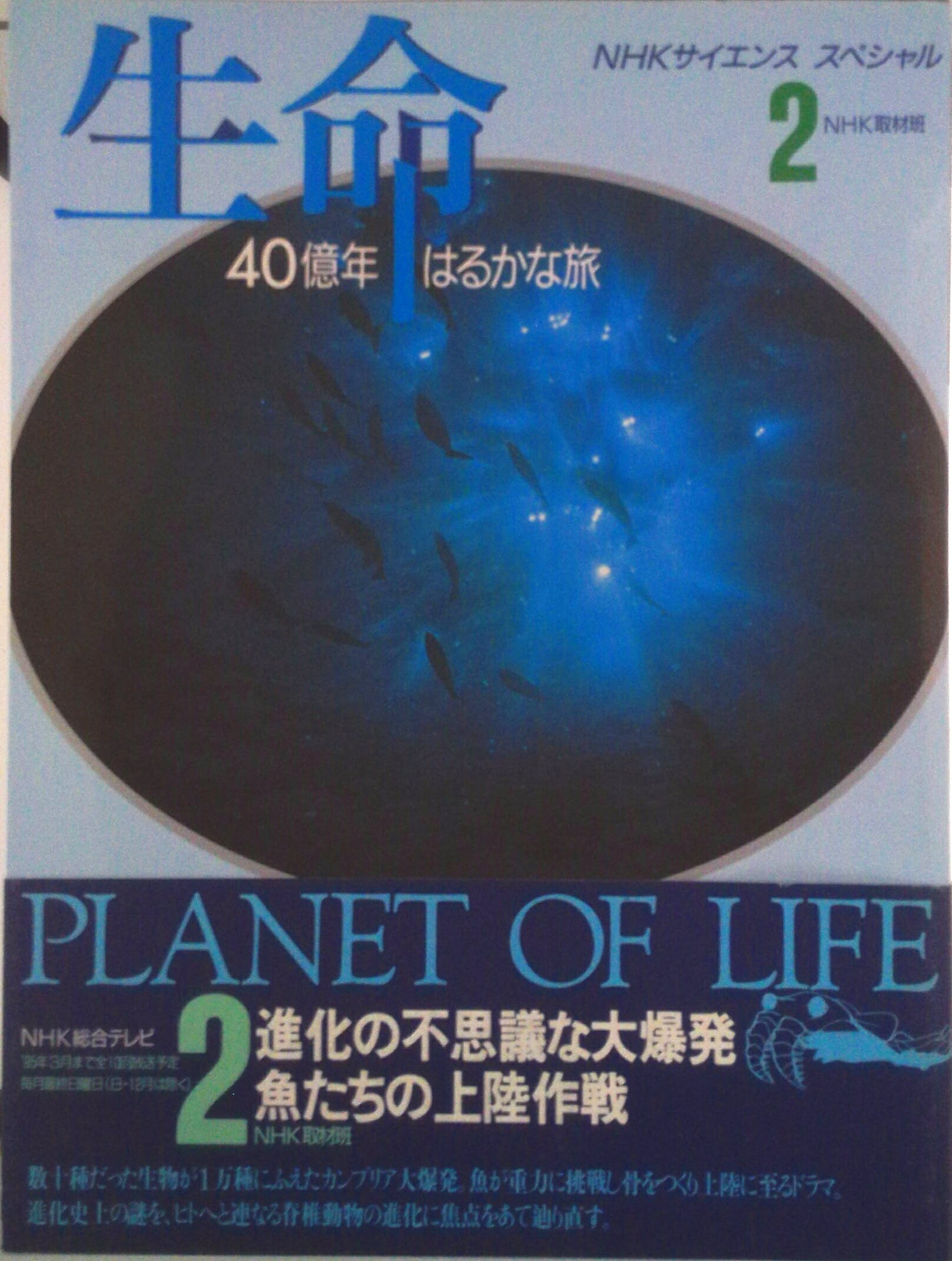 ����š���̿ 40��ǯ�Ϥ뤫��ι 2/NHK����/��������������緿�ܡ�