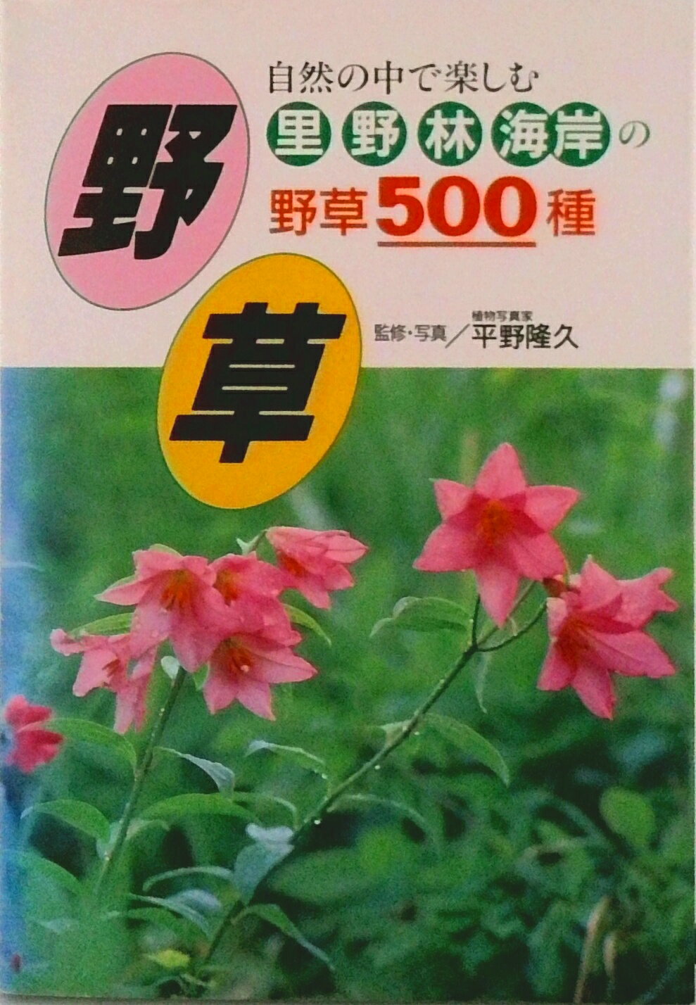 【中古】野草 自然の中で楽しむ里・野・林・海岸の野草500種/永岡書店/平野隆久（単行本）