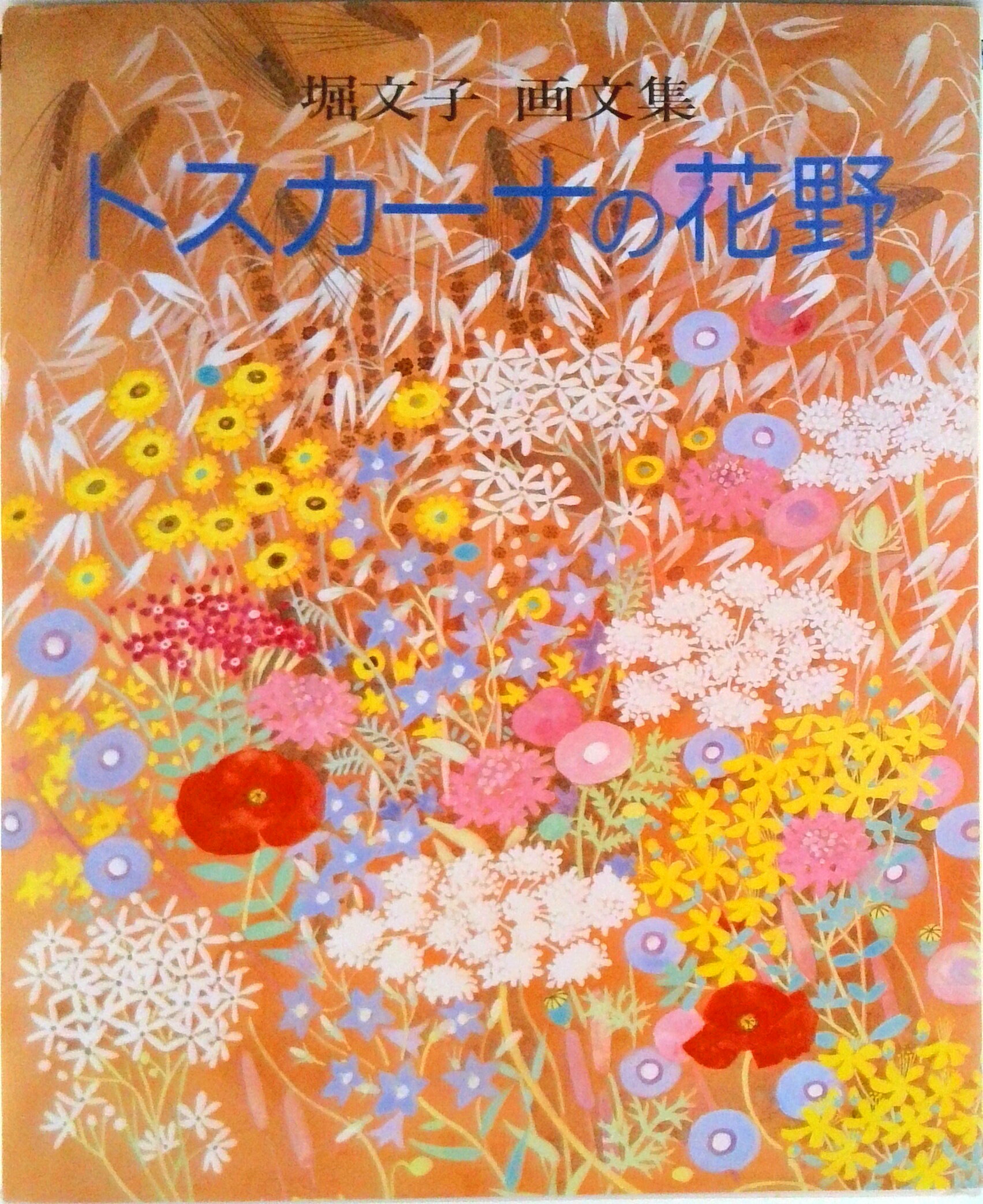 ◆◆◆非常にきれいな状態です。中古商品のため使用感等ある場合がございますが、品質には十分注意して発送いたします。 【毎日発送】 商品状態 著者名 堀文子（日本画家） 出版社名 JTBパブリッシング 発売日 1991年07月01日 ISBN 9784533017681