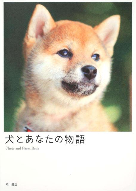 【中古】犬とあなたの物語/角川書店/「犬とあなたの物語」製作委員会（単行本）