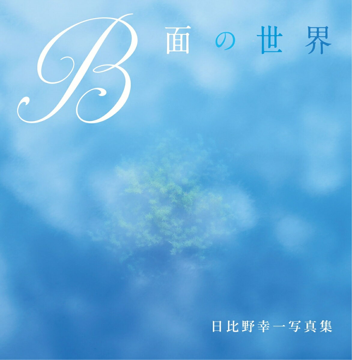 【中古】B面の世界 日比野幸一写真集/日本写真企画/日比野幸一（単行本）