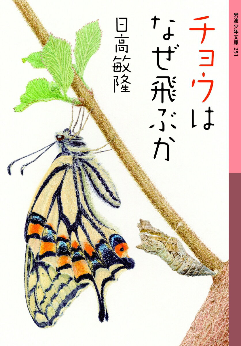 【中古】チョウはなぜ飛ぶか/岩波書店/日高敏隆（単行本（ソフトカバー））