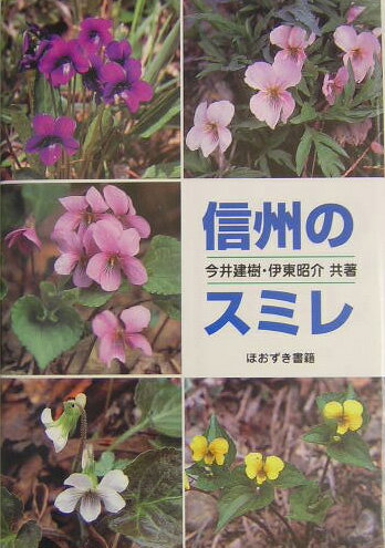 【中古】信州のスミレ/ほおずき書籍/今井建樹（単行本）