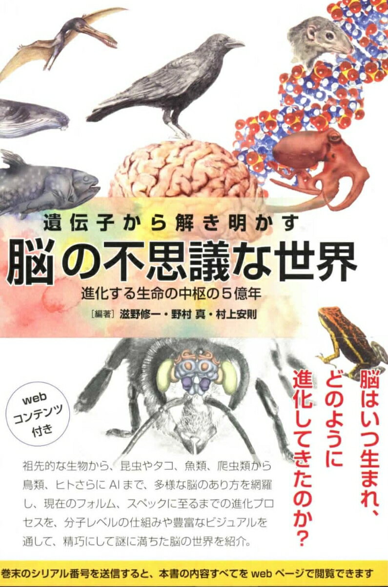 【中古】遺伝子から解き明かす脳の不思議な世界 進化する生命の中枢の5億年/一色出版/滋野修一（単行本）