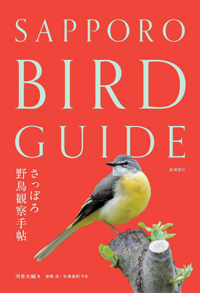 【中古】さっぽろ野鳥観察手帖 SAPPORO　BIRD　GUIDE/亜璃西社/河井大輔（単行本（ソフトカバー））