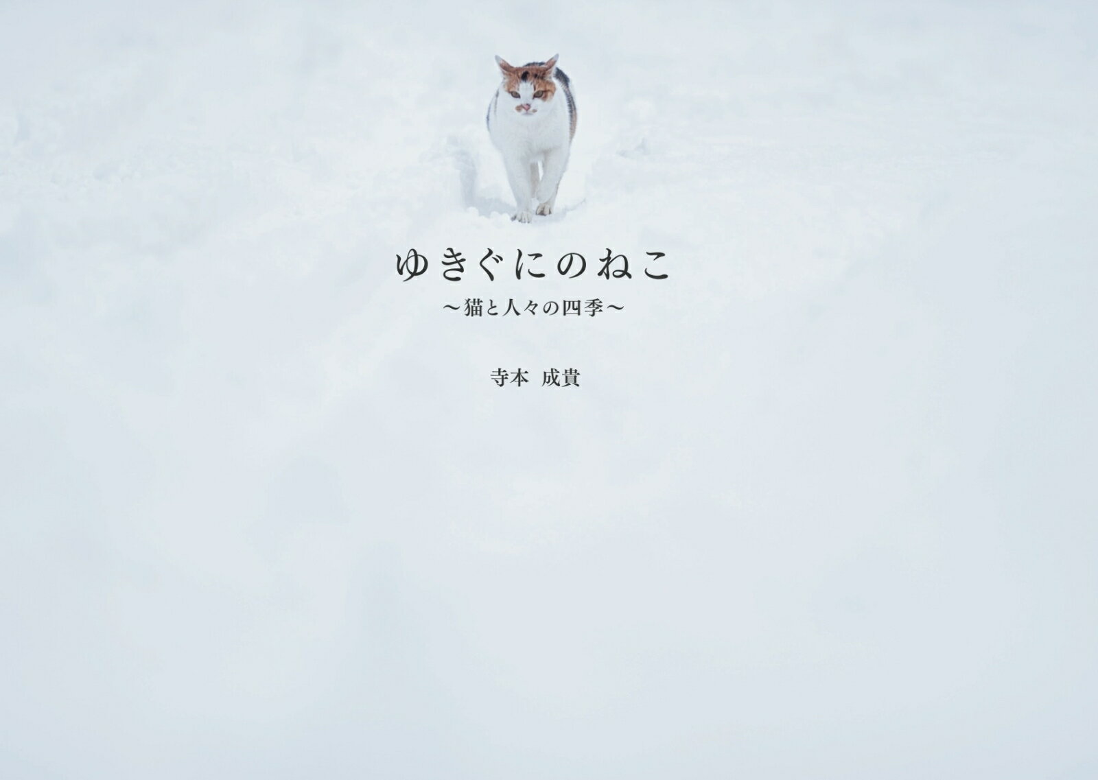 【中古】ゆきぐにのねこ 猫と人々の四季/出版ワ-クス/寺本成貴（単行本）