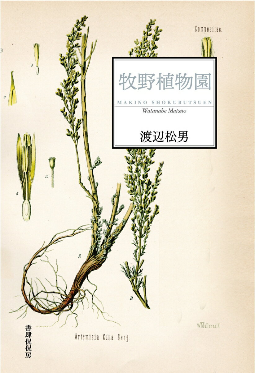 【中古】牧野植物園/書肆侃侃房/渡辺松男（単行本）