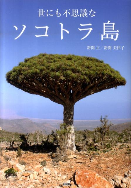 【中古】世にも不思議なソコトラ島/彩図社/新開正（単行本）