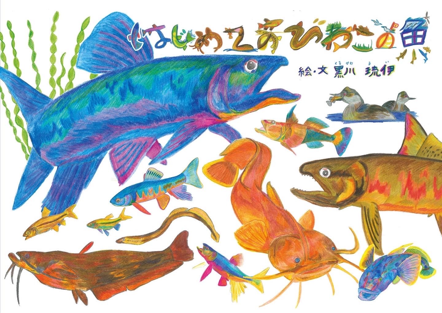 【中古】はじめてのびわこの魚/能美舎/黒川琉伊（大型本）