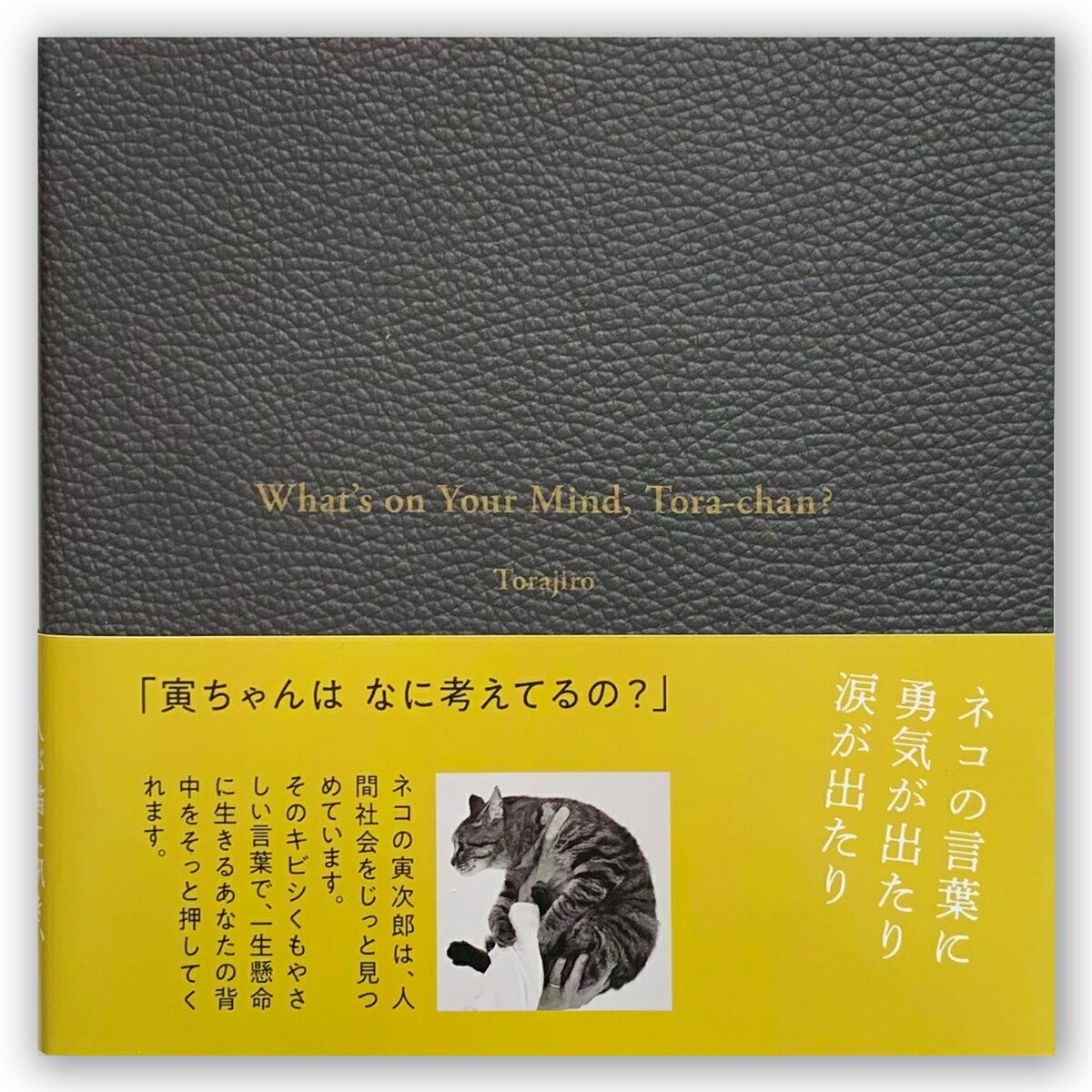 【中古】What’s　on　Your　Mind，Tora-chan？ 寅ちゃんはなに考えてるの？/ネコノス/寅次郎（単行本）