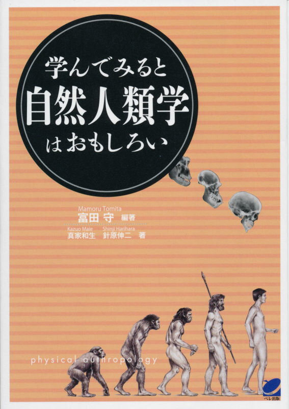 【中古】学んでみると自然人類学はおもしろい/ベレ出版/富田守（単行本）