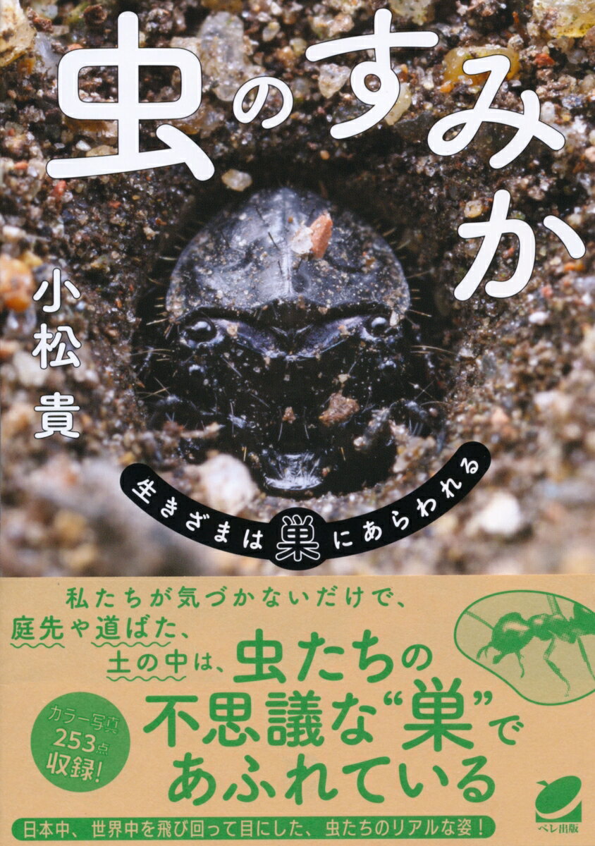 【中古】虫のすみか 生きざまは巣にあらわれる/ベレ出版/小松貴（単行本）