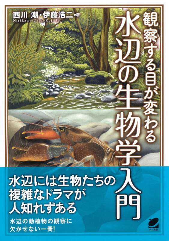 【中古】観察する目が変わる水辺の生物学入門/ベレ出版/西川潮（単行本）