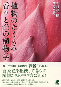 【中古】植物のたくらみ 香りと色の植物学/ベレ出版/有村源一郎(単行本)