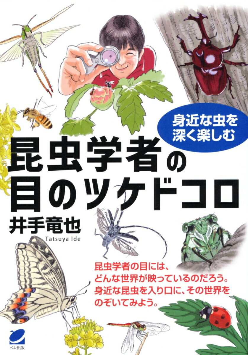 【中古】昆虫学者の目のツケドコロ 身近な虫を深く楽しむ/ベレ出版/井手竜也（単行本）