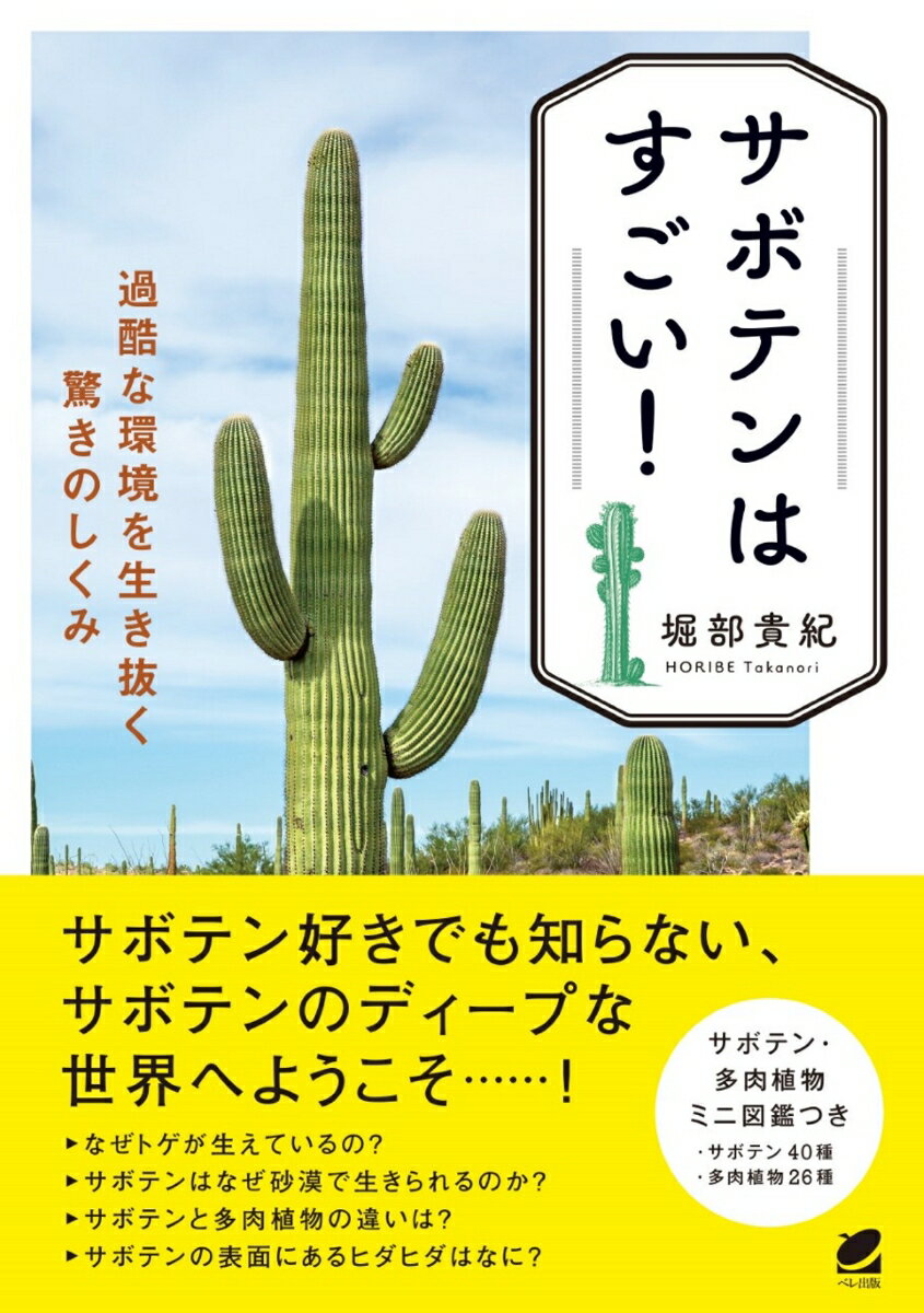 【中古】サボテンはすごい！過酷な環境を生き抜く驚きのしくみ/ベレ出版/堀部貴紀（単行本）
