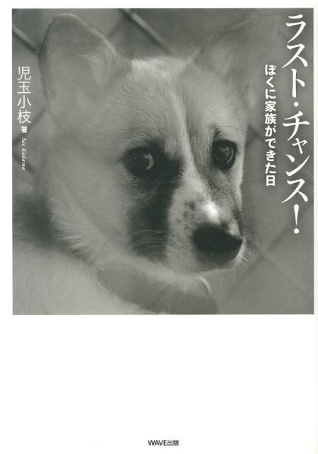 【中古】ラスト・チャンス！ ぼくに家族ができた日/WAVE出版/児玉小枝（単行本（ソフトカバー））