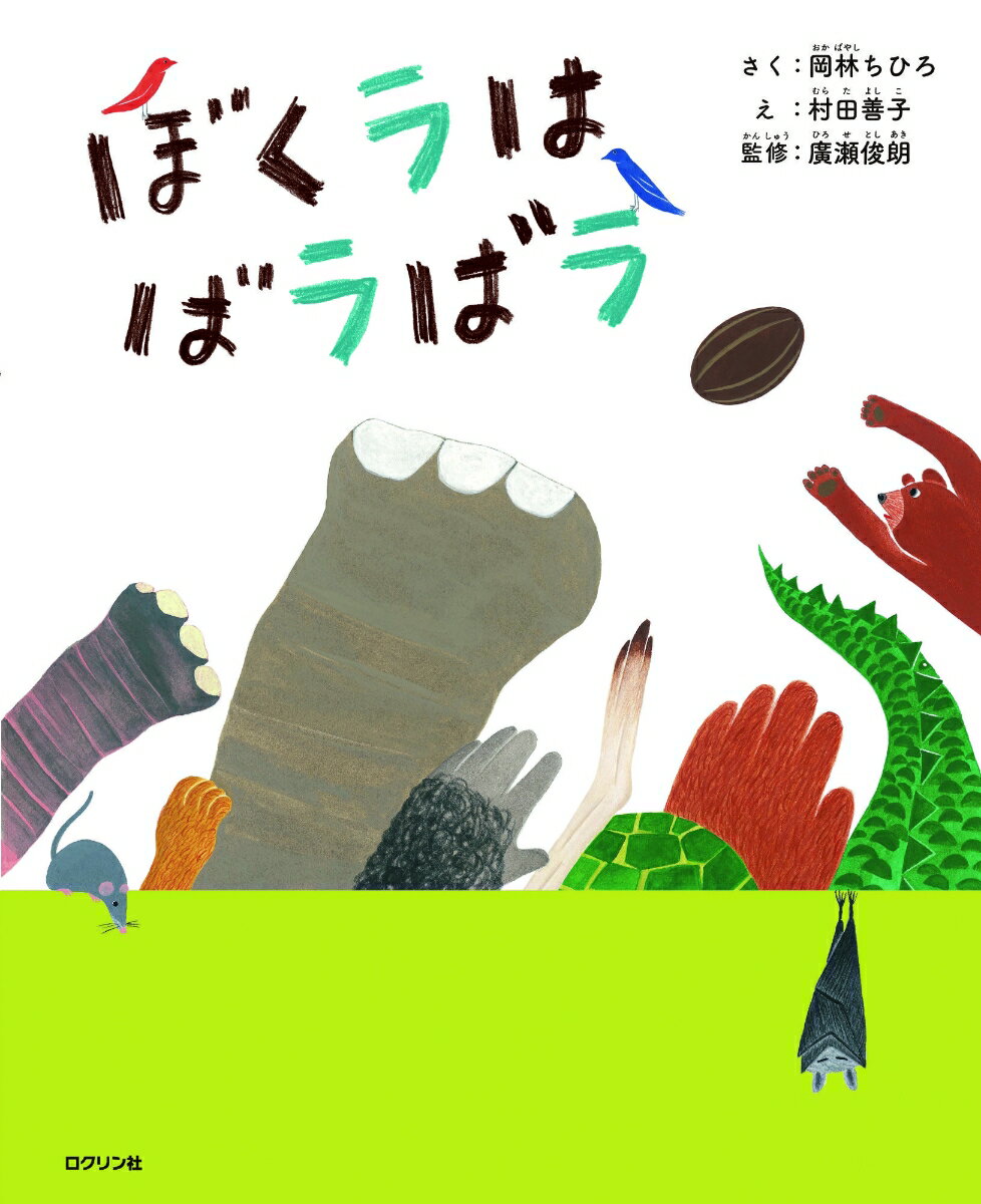 【中古】ぼくラはばラばラ/ロクリン社/岡林ちひろ（ハードカバー）