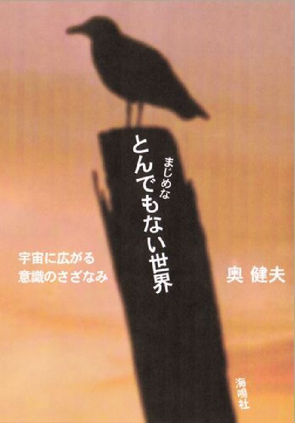 【中古】まじめなとんでもない世界 宇宙に広がる意識のさざなみ/海鳴社/奥健夫（工学博士）（単行本）