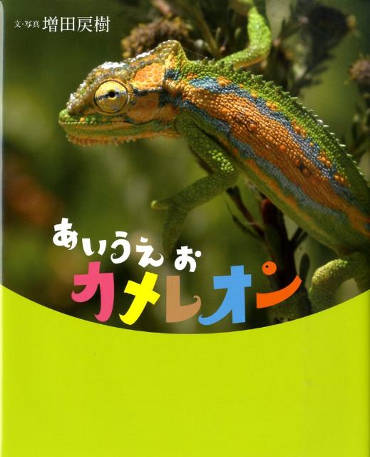 【中古】あいうえおカメレオン/偕成社/増田戻樹（大型本）