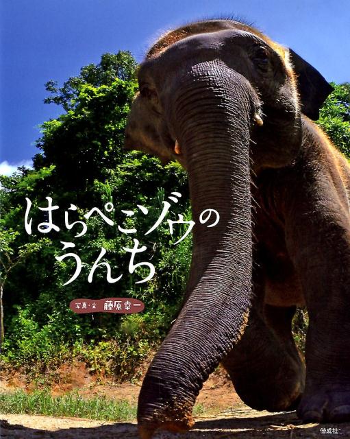 【3980円以上送料無料】はらぺこゾウのうんち／藤原幸一／写真・文