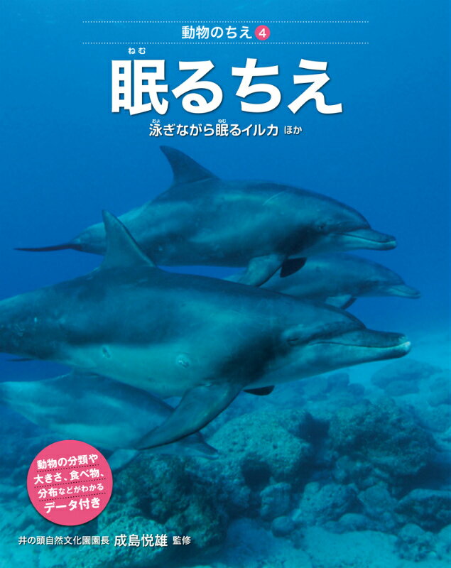 【中古】眠るちえ 泳ぎながら眠るイルカほか/偕成社/ネイチャ-・プロ編集室（単行本）