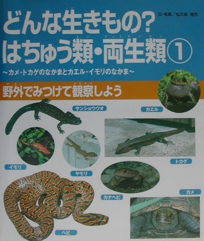 【中古】どんな生きもの？はちゅう類・両生類 カメ・トカゲのなかまとカエル・イモリのなかま 1/偕成社/松久保晃作（大型本）