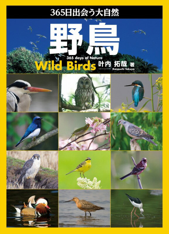 ����š�365���в��缫����Ļ/��ʸƲ������/������ȡ��緿�ܡ�