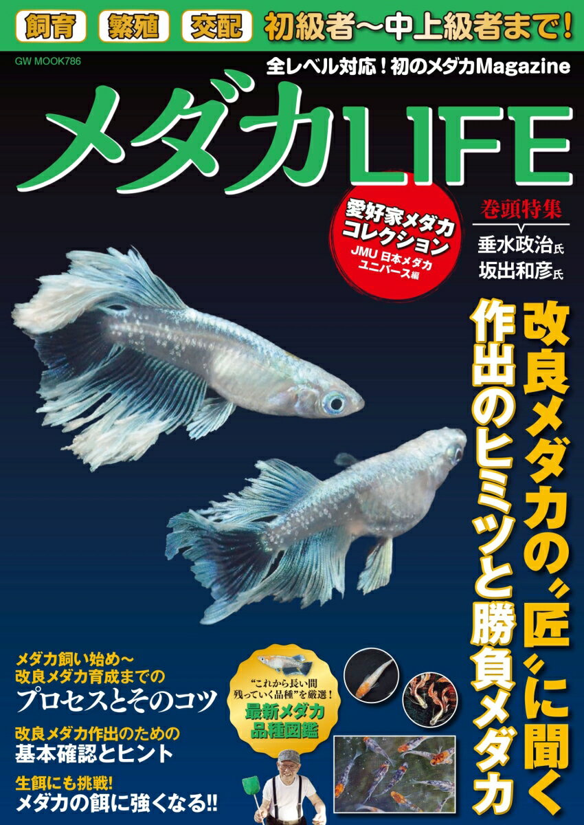 【中古】メダカLIFE/ガイドワ-クス（ムック）