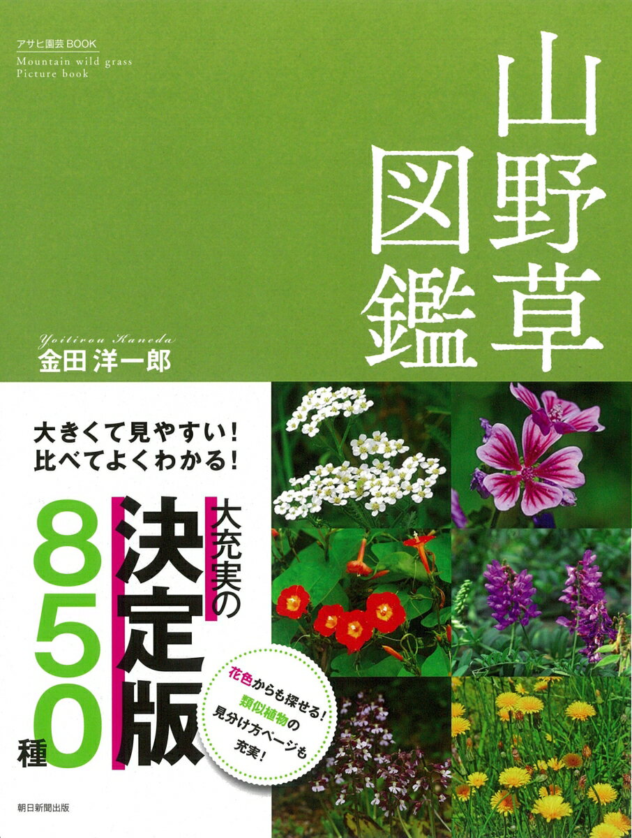 【中古】山野草図鑑 大きくて見やすい！比べてよくわかる！/朝日新聞出版/金田洋一郎（単行本）