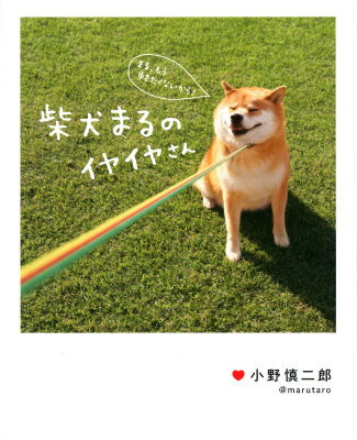 【中古】柴犬まるのイヤイヤさん/KADOKAWA/小野慎二郎（単行本）
