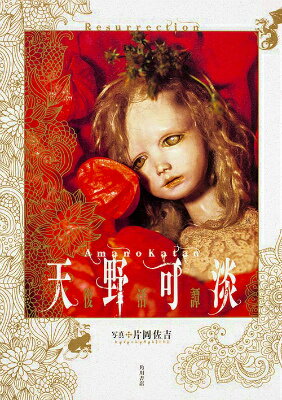【中古】天野可淡復活譚/KADOKAWA/天野可淡（単行本）