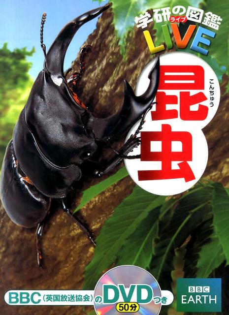 楽天市場】昆虫 図鑑 学研の通販
