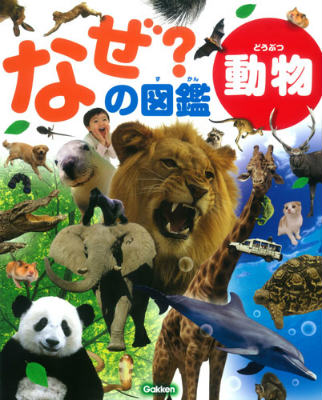 【中古】なぜ？の図鑑 動物/学研教育出版/今泉忠明（大型本）