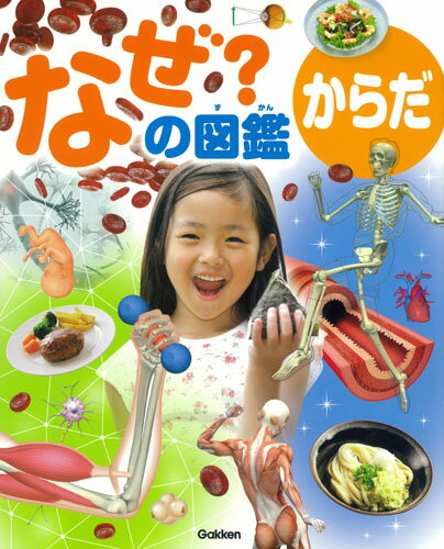【中古】なぜ？の図鑑からだ/Gakken/阿部和厚（大型本）