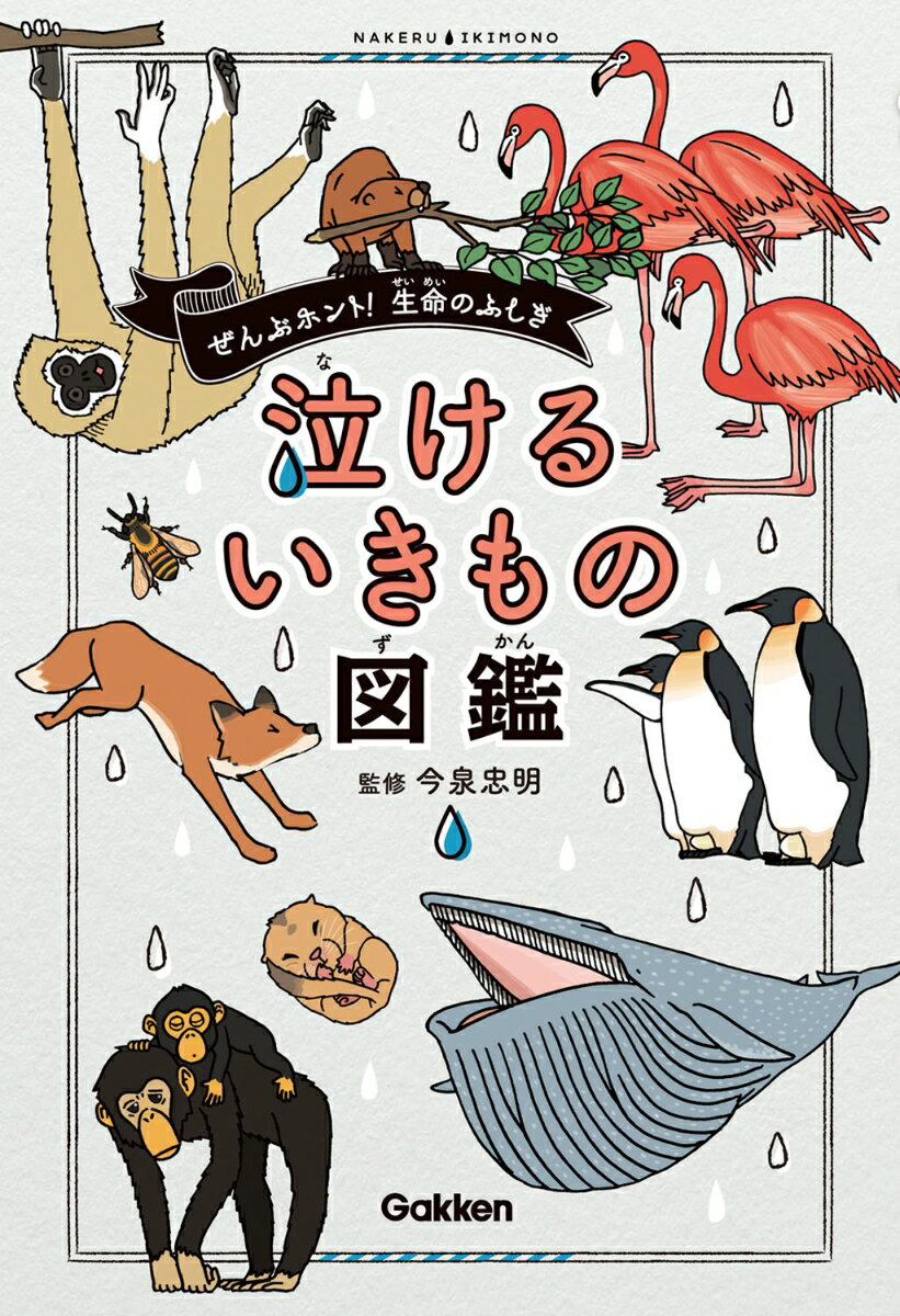 【中古】泣けるいきもの図鑑 ぜんぶホント！生命のふしぎ/Gakken/今泉忠明（単行本）