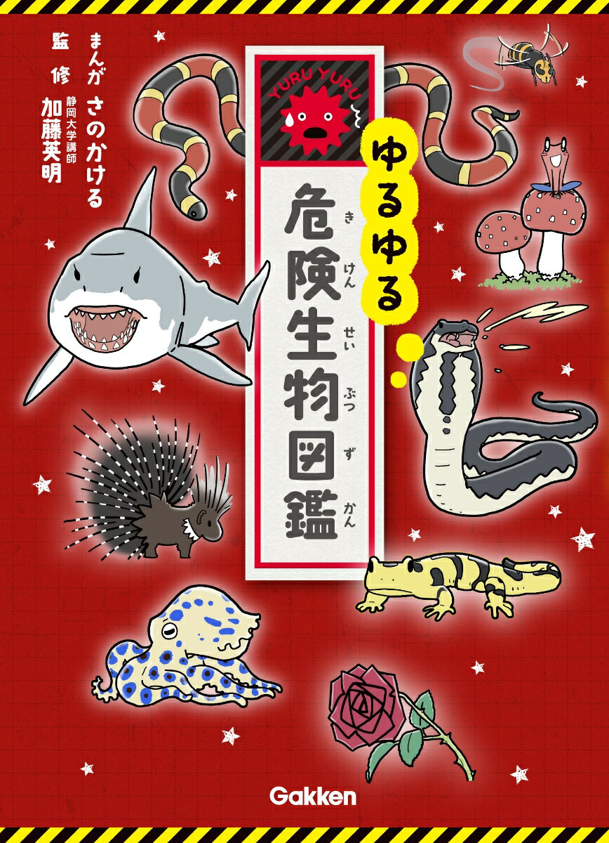 【中古】ゆるゆる危険生物図鑑/Gakken/加藤英明（単行本）