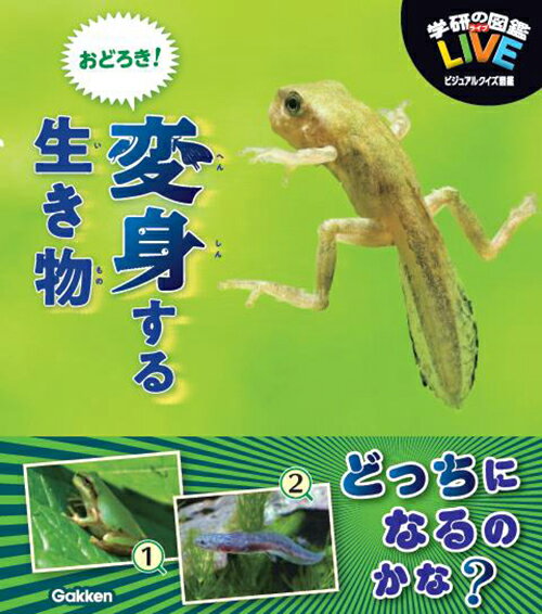 【中古】おどろき！変身する生き物/Gakken/木村義志（単行本）