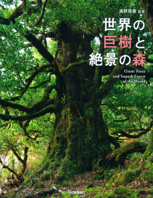 【中古】世界の巨樹と絶景の森/学研パブリッシング/濱野周泰（単行本）