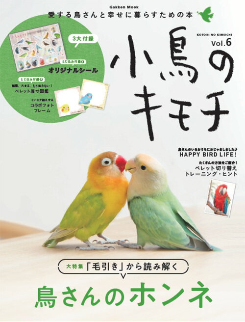 宠物 - 【中古】小鳥のキモチ Vol．6/Gakken（単行本）